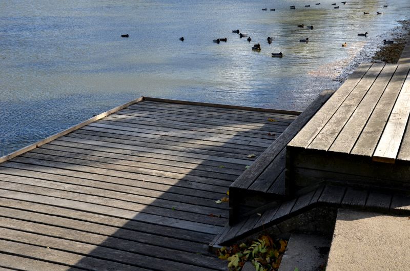 Pond Dock Construction