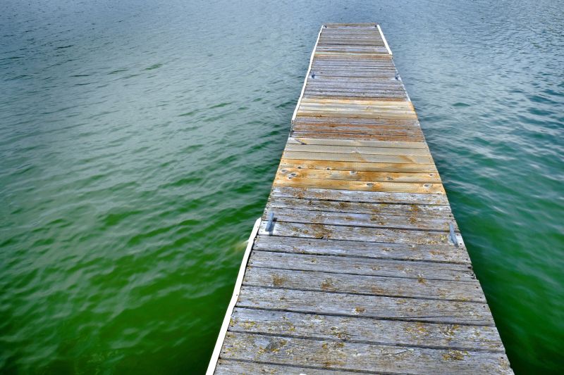 Dock Plate Replacement